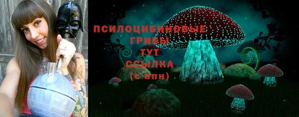 дживик Нефтекумск