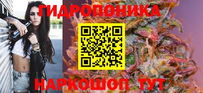 прущие грибы Гагарин