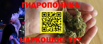 прущие грибы Гагарин