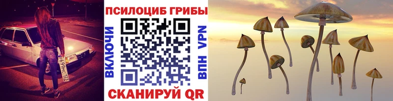 Галлюциногенные грибы прущие грибы  Ирбит 