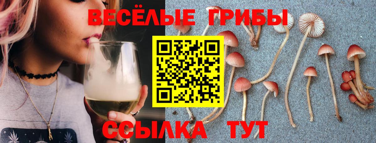 Галлюциногенные грибы ЛСД  как найти закладки  Ирбит 
